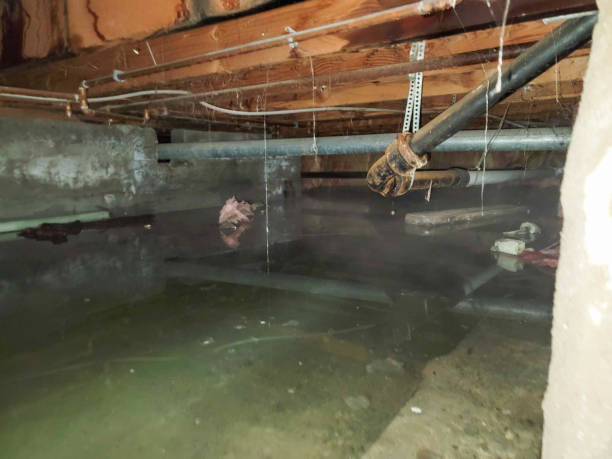 Best Water damage contractors near me  in Concordia, KS