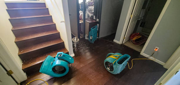 Best Carpet water damage restoration  in Concordia, KS