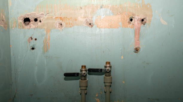 Best Flooded house restoration  in Concordia, KS